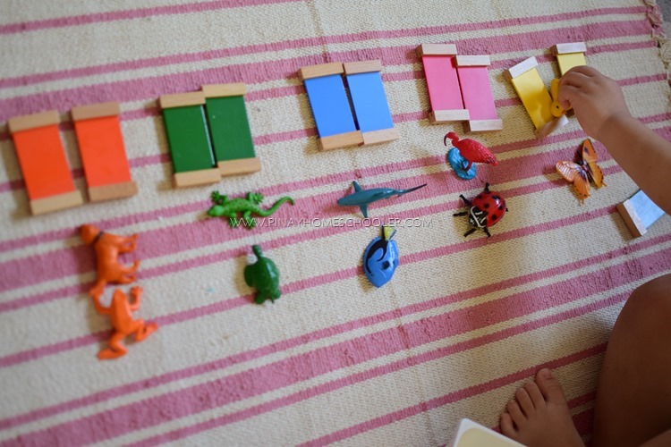 Монтесори занимание за сортиране на фигурки на животни по цветове върху килим.